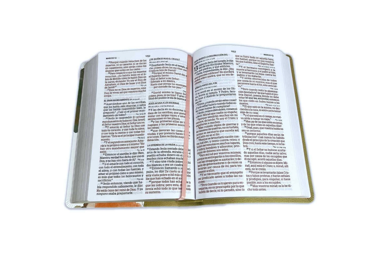 Biblia Letra Grande manual RV1960 imit. piel multicolor