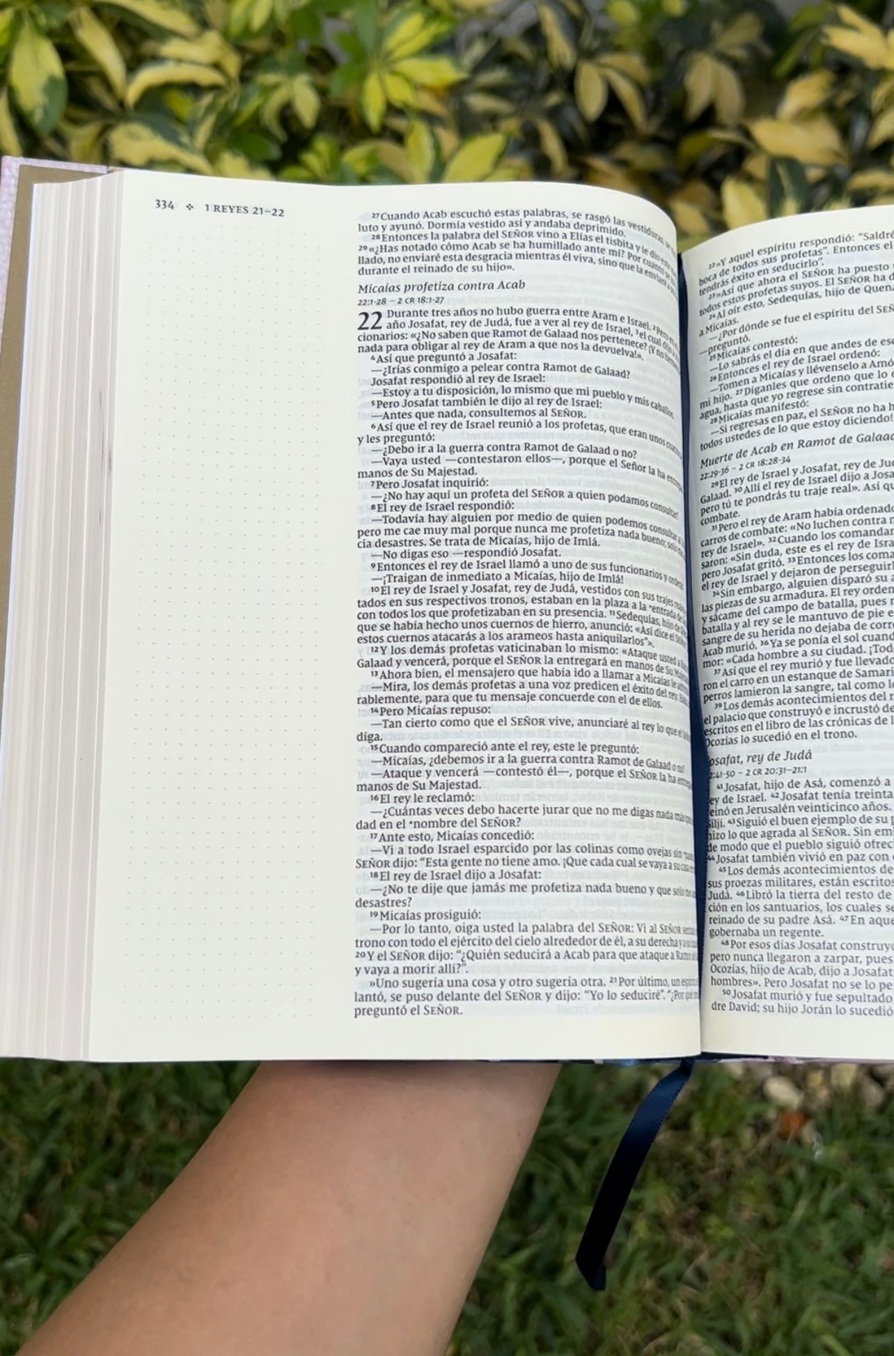 Biblia NVI Artística Letra Grande Tapa
Dura (Biblia de apuntes)