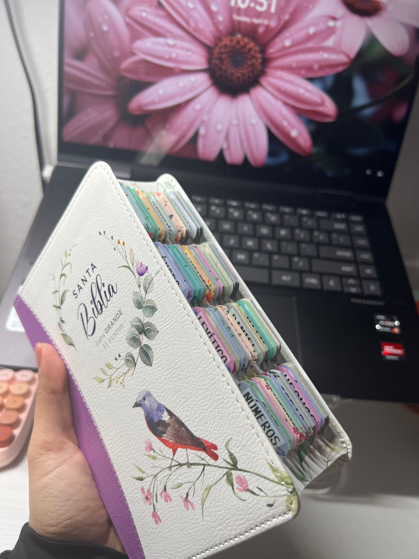 Biblia Compacta 11 puntos RV1960 imit
piel con canto pintado primaveral y pájaro